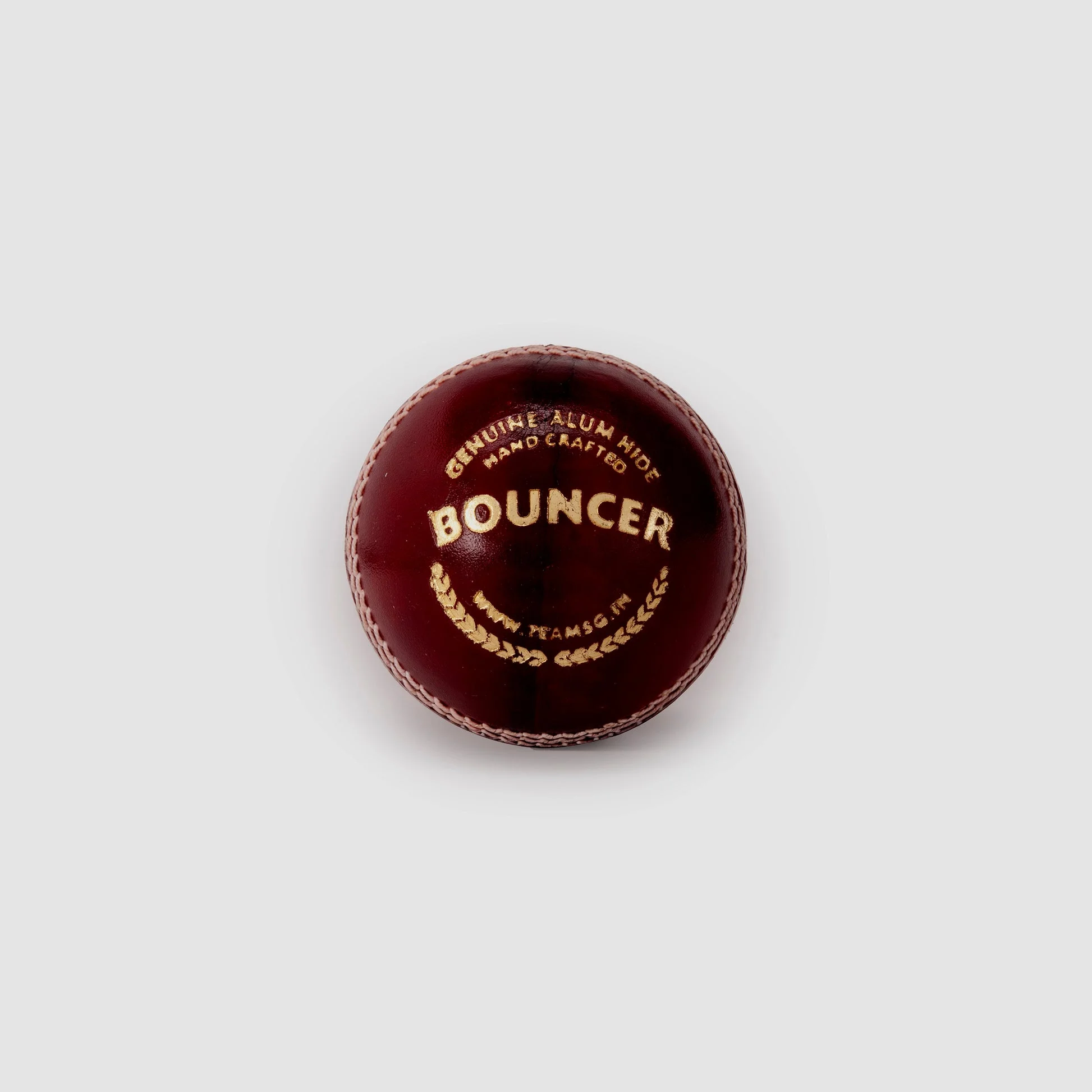 SG Bouncer (Red) Cricket Ball