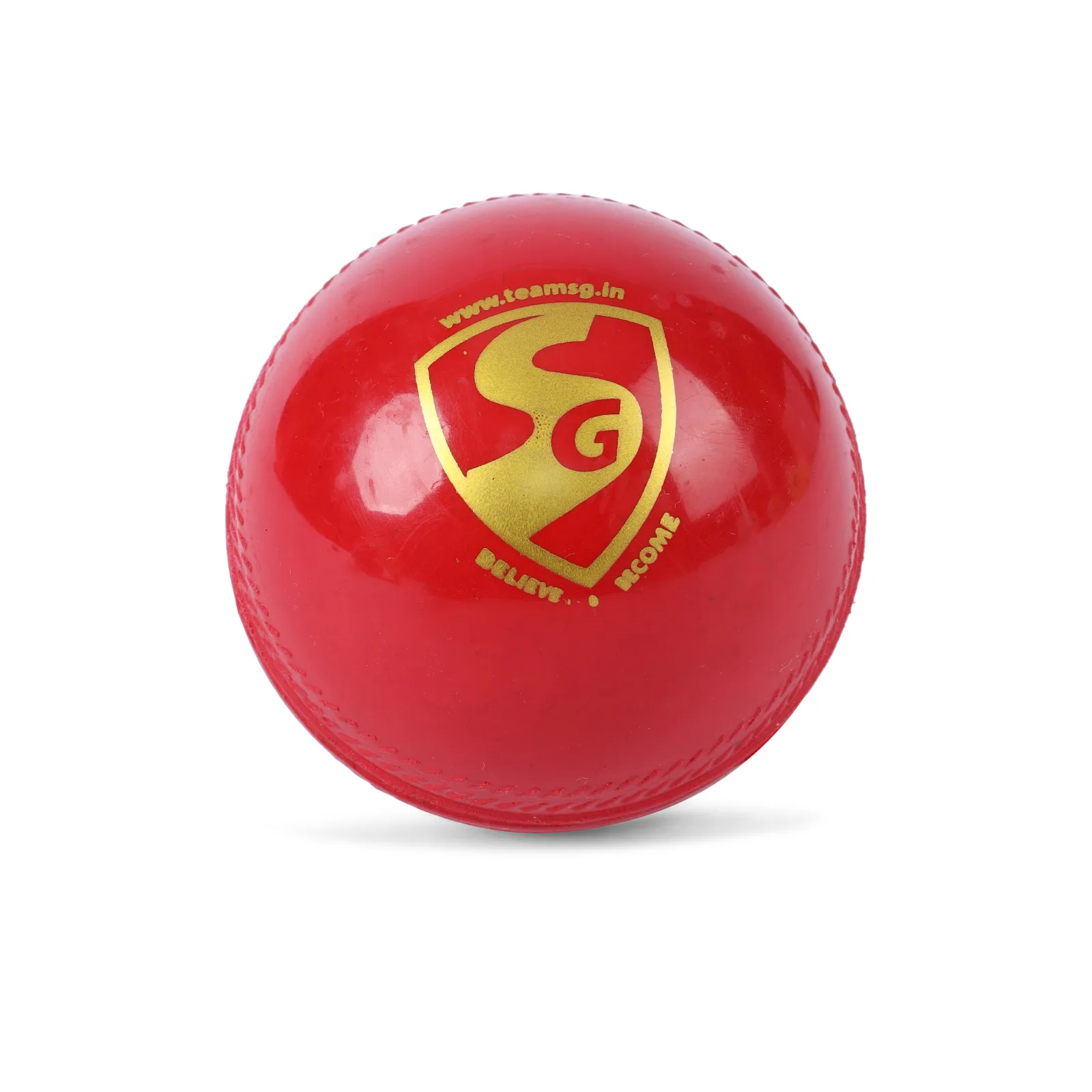SG Everlast (Synthetic) Cricket Ball