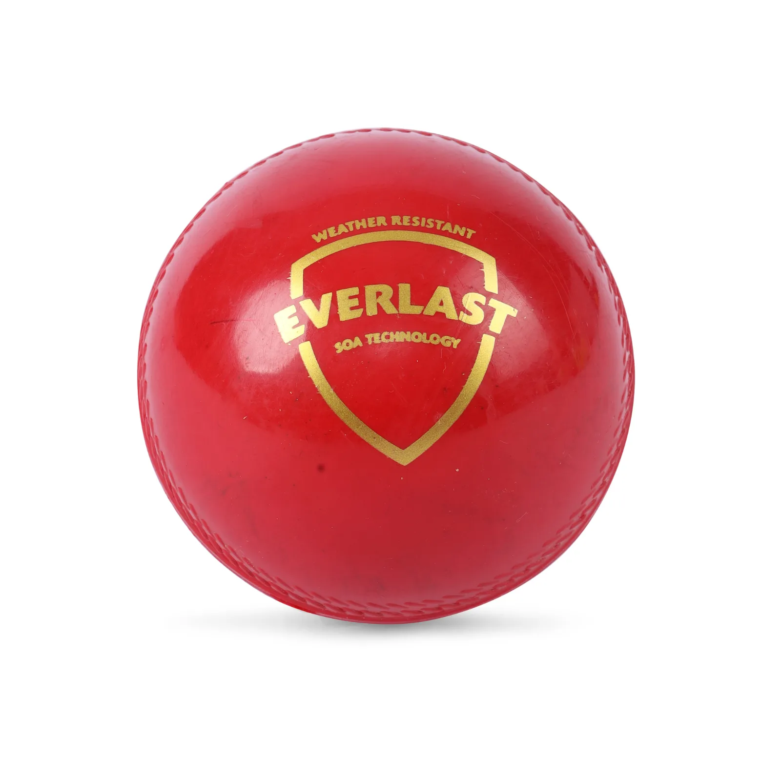 SG Everlast (Synthetic) Cricket Ball view 2