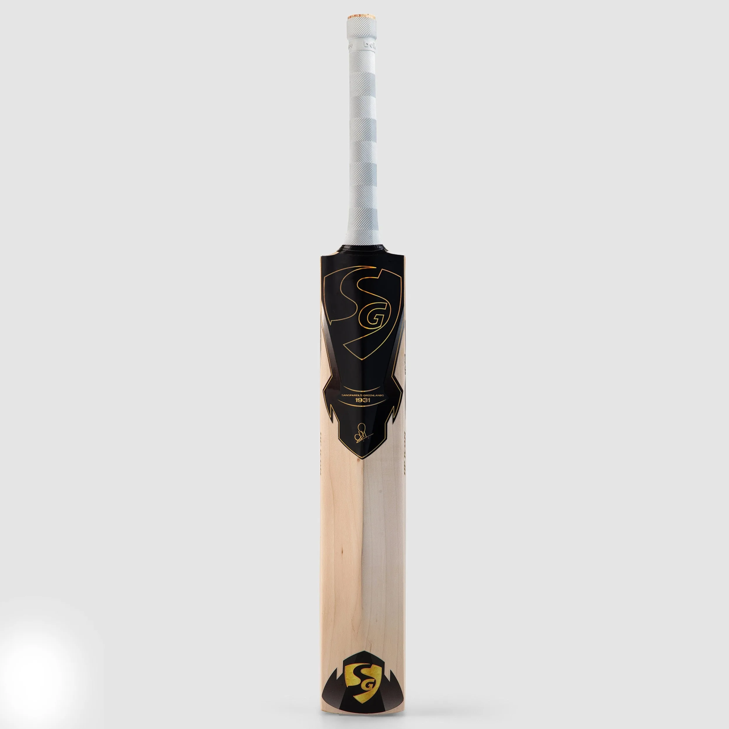 SG HP Icon Cricket Bat view 3