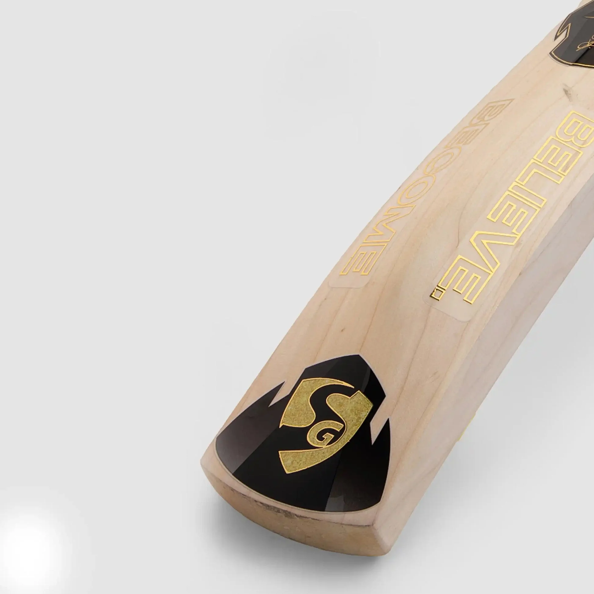 SG HP T-20 Cricket Bat view 2