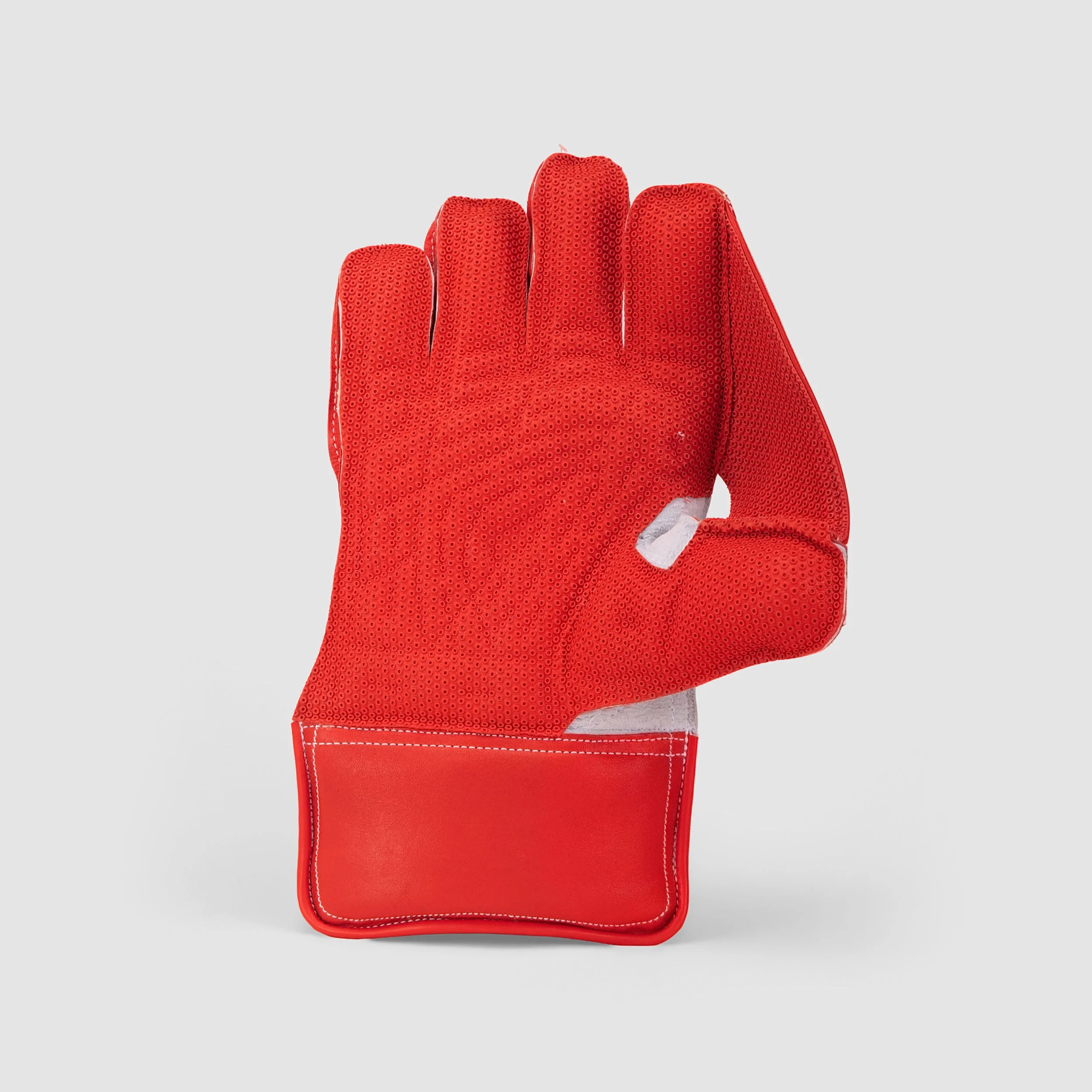 SG KLR 1 (Blue/Red) Wicket Keeping Gloves view 2