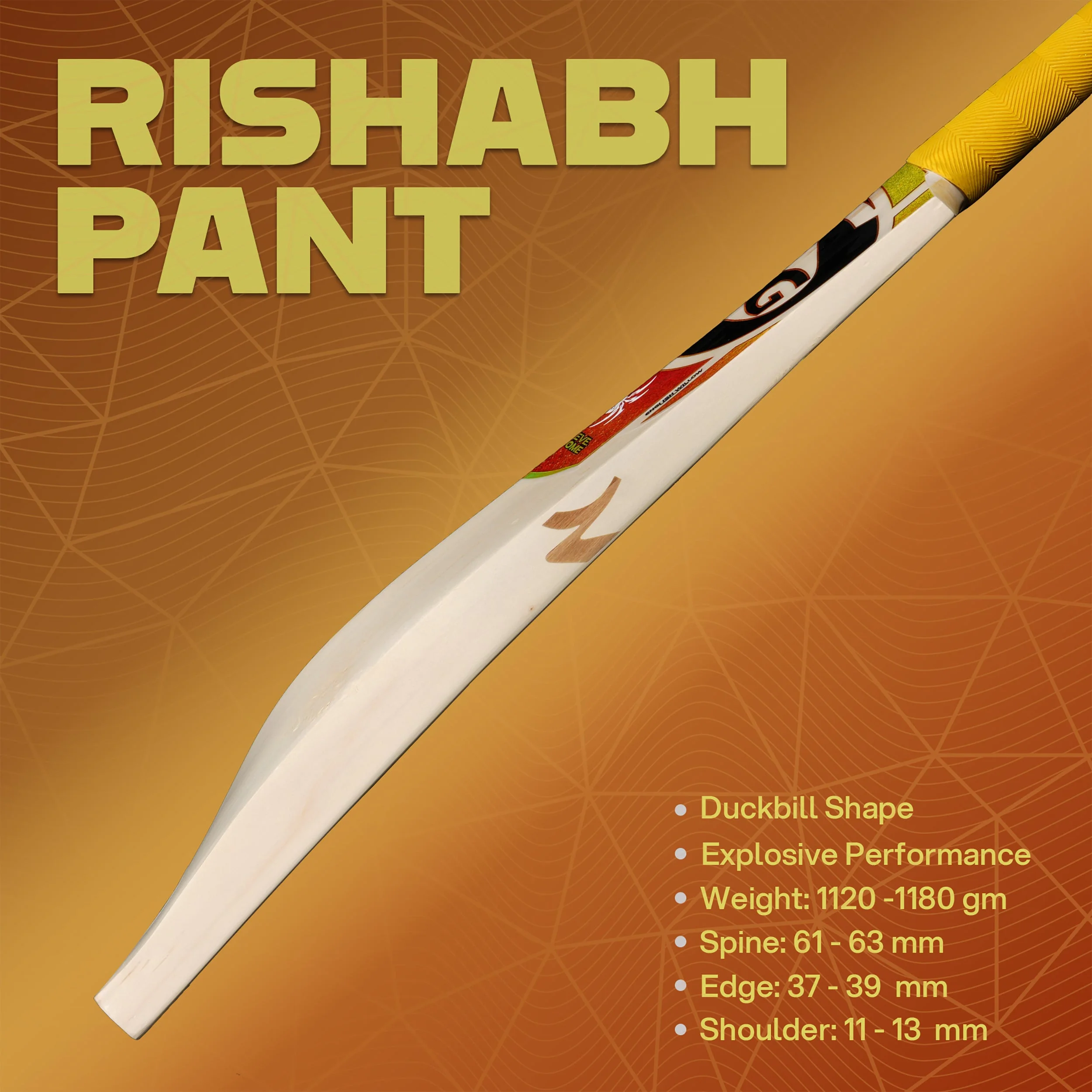SG RP 17 (Rishabh Pant) Cricket Bat view 3