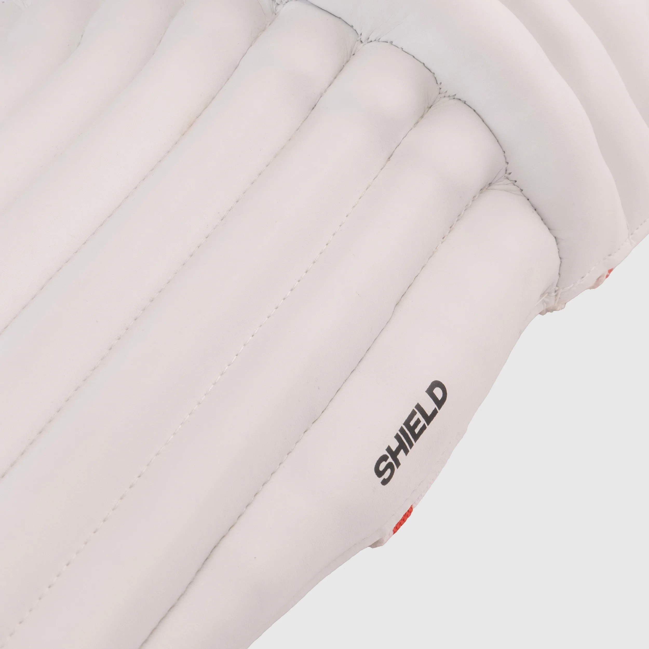 SG Shield Batting Pad view 2