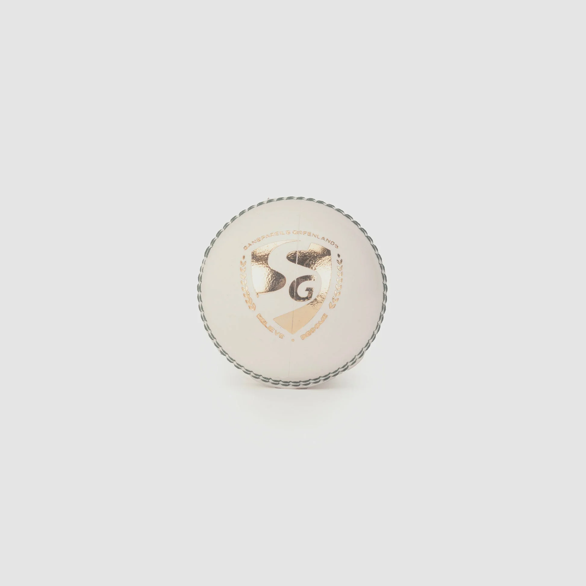 SG Super 50 (White) Cricket Ball view 2