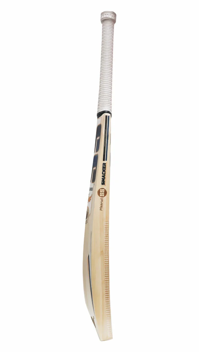 SS GG Smacker Punch Cricket Bat 2024 view 3