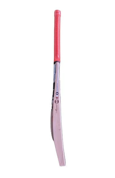 SS Jaddu RJ 8 Cricket Bat 2024 view 3