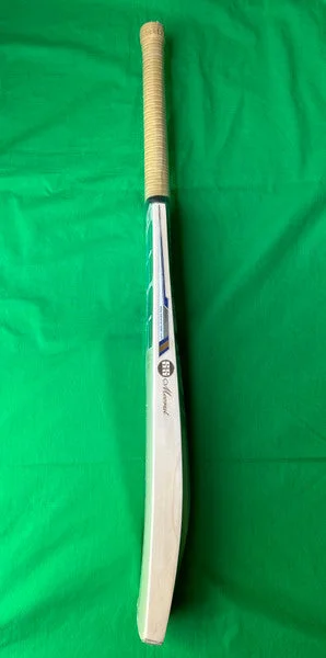 SS Legend Classic Cricket Bat 2023 view 3