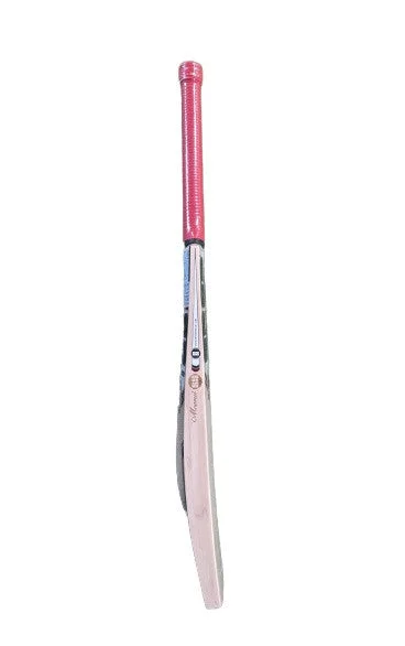 SS Professional Cricket Bat 2023 view 4